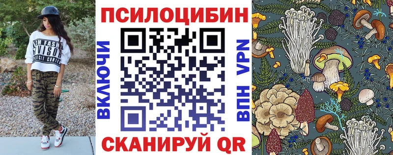 Псилоцибиновые грибы Magic Shrooms  mega ТОР  мориарти Telegram  Щёлково 