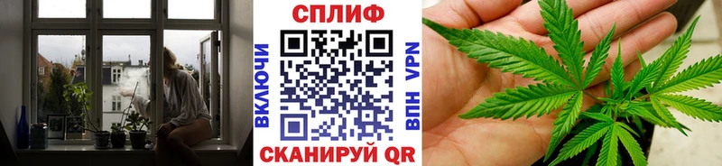Конопля планчик Щёлково